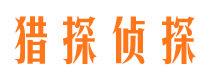 临翔市侦探公司